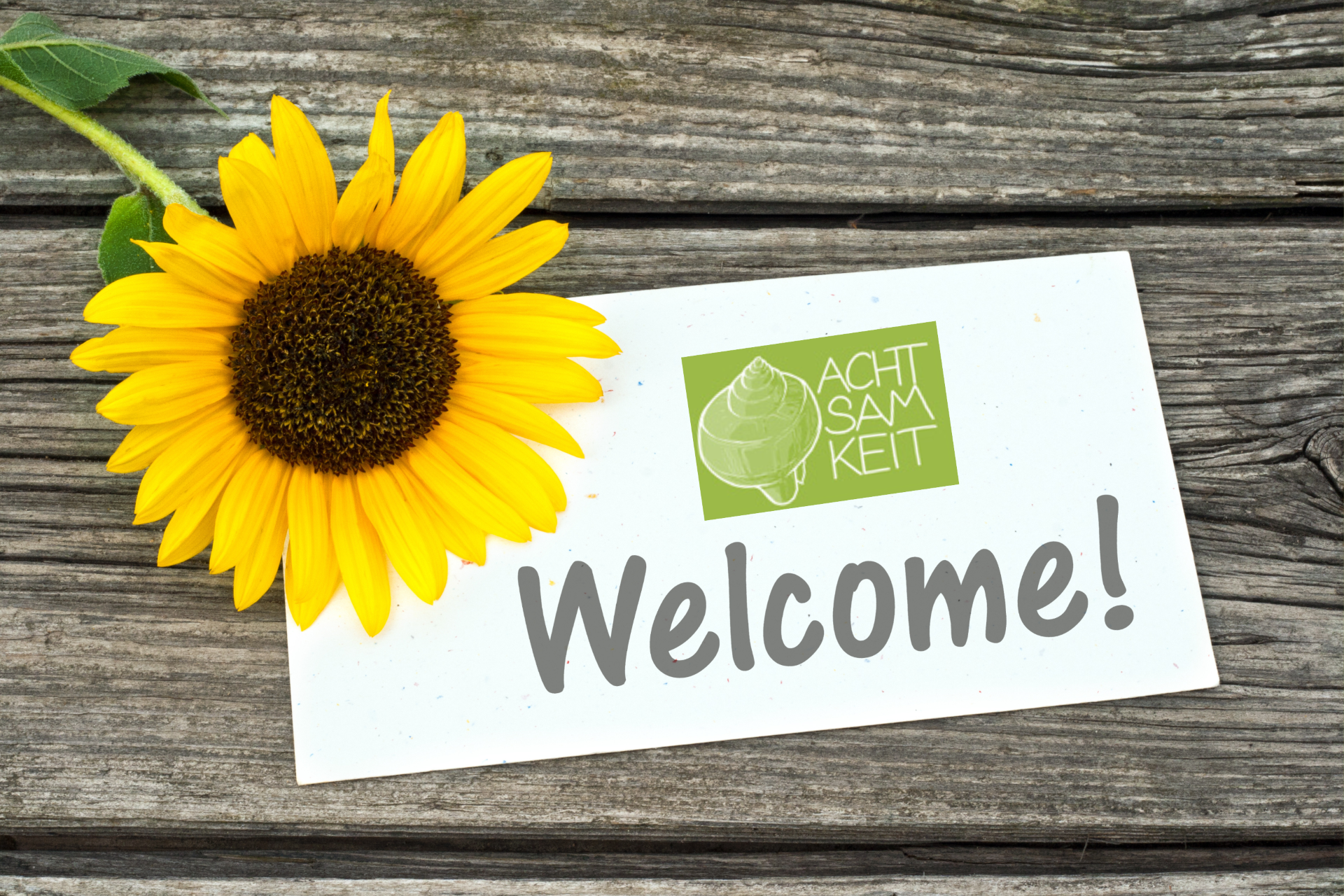 Einstieg in die Webseite von Sabine Schuster